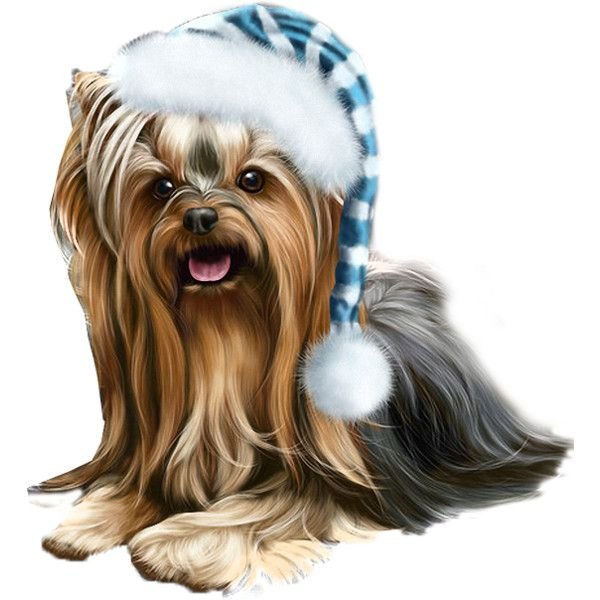 Собака с больным зубом