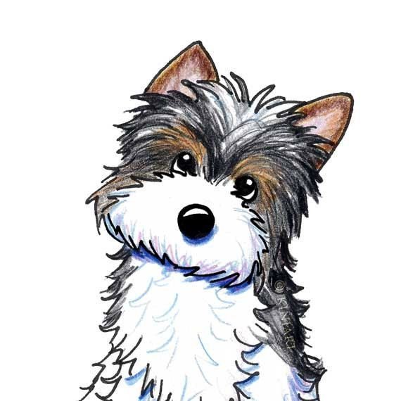 Китайская хохлатая шарж