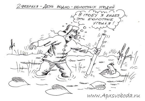 А,В на болоте карикатуры