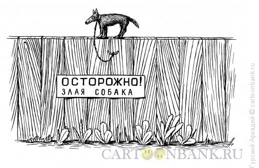 Россия забор карикатура