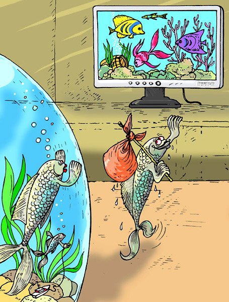 Рыба карикатура