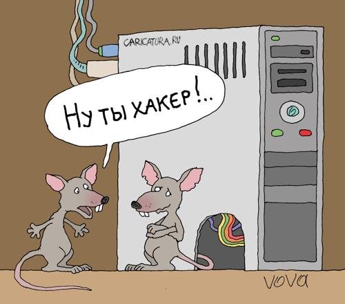 Хакер карикатура