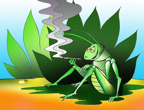 Богомол наркоман