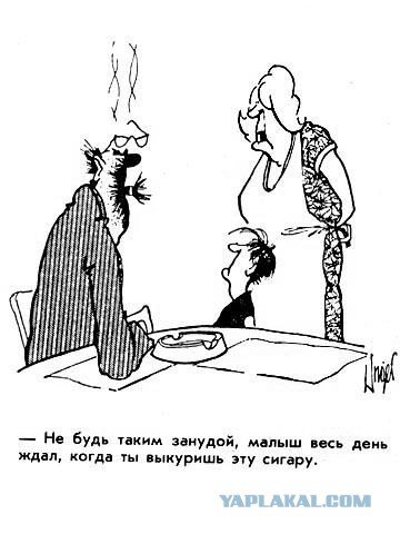 Греф карикатура