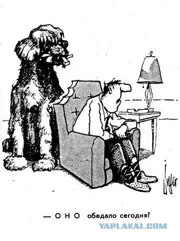 Герман карикатуры (47 фото)