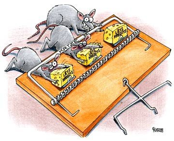 Приколы с копченой рыбой