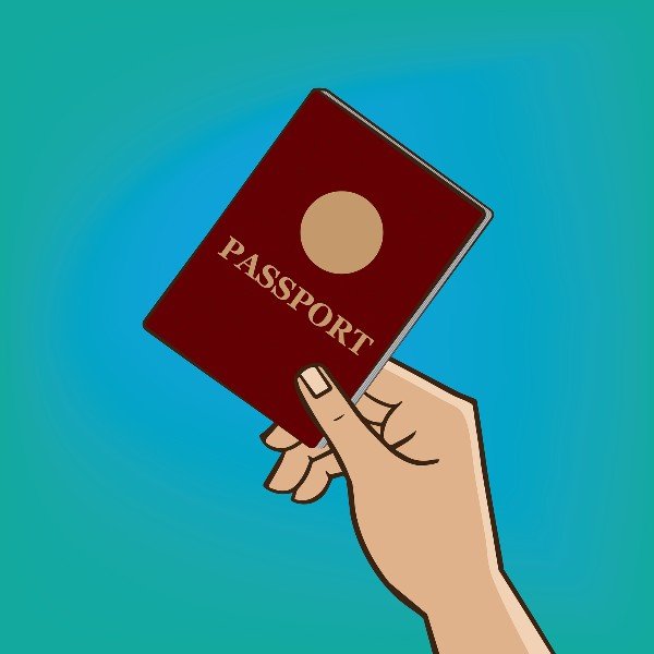 Паспорт карикатура