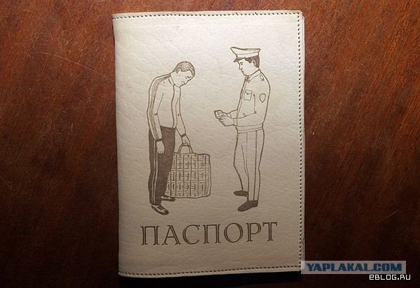 Двойное гражданство карикатура