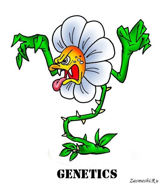 Злой цветок