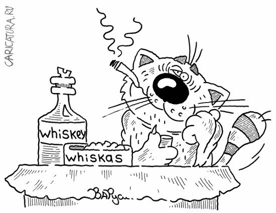 Карикатура с днем рождения мужчине