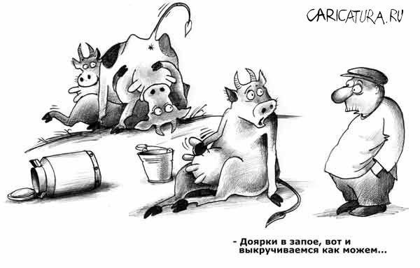 Анекдоты про корову смешные