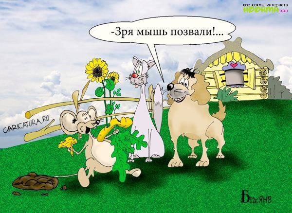 Карикатуры на женщин смешные до слез