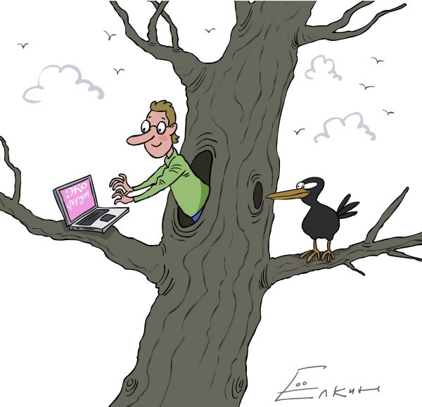 Блогеры прикольные картинки