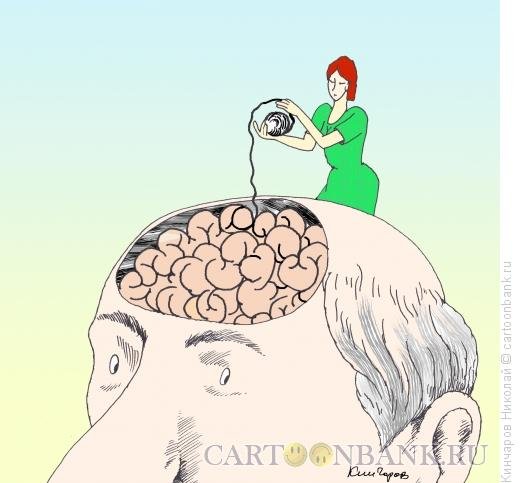 Идеальная женщина карикатура