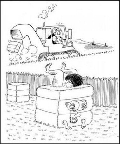 Ты зачем ассенизатор остановил карикатура