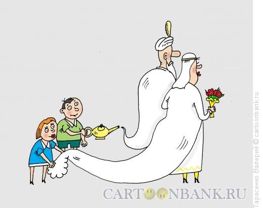 Карикатуры Свадебные с младенцем