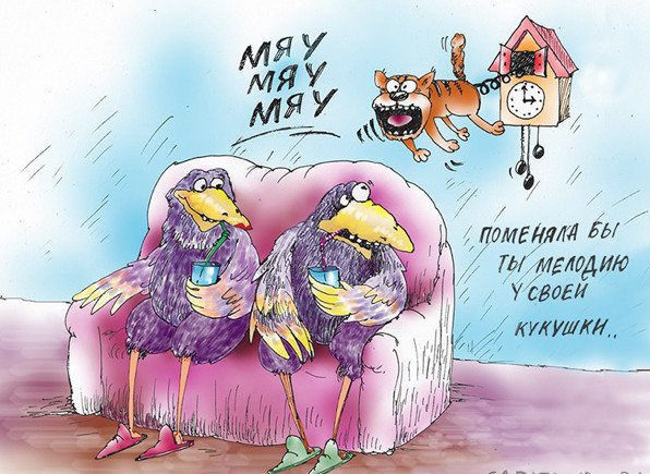 Карикатуры про птиц