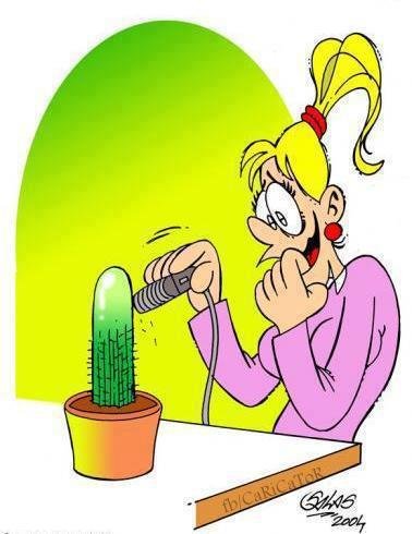 Рисунок бритва и кактуса