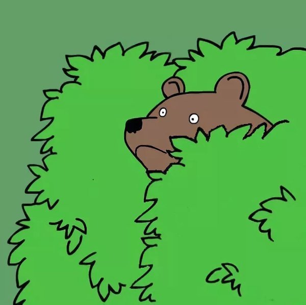 Медведь Мем