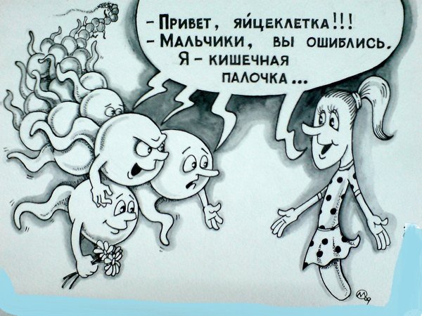 Сперматозоид карикатура