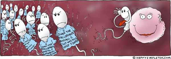 Сперматозоид карикатура