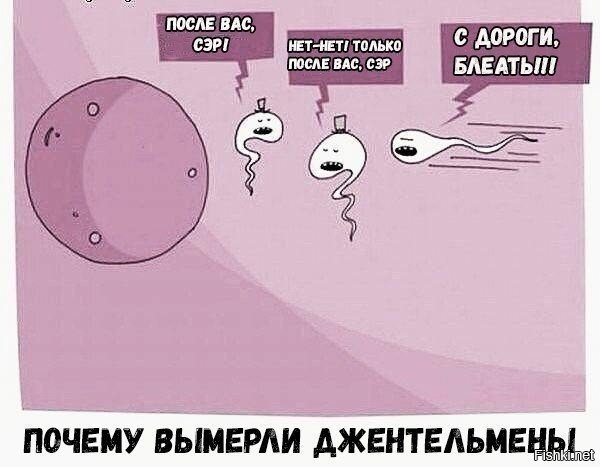 Почему вымерли джентльмены картинка