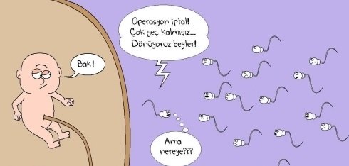 Яйцеклетка карикатура