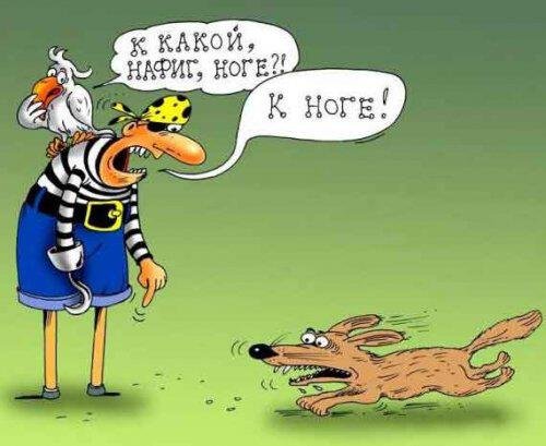 Карикатуры про дрессировку собак