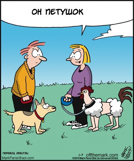 Карикатуры про дрессировку собак