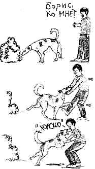 Дрессировка собак рисунок прикол