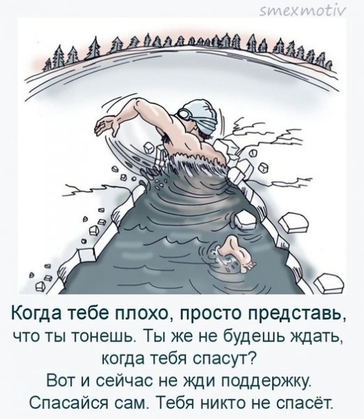 Моржевание карикатура