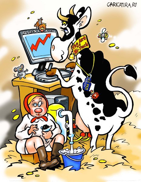 Шутки про коров