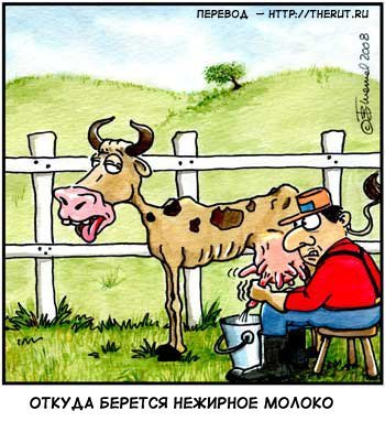 Карикатуры смешные