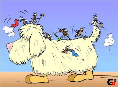 Мультик про блоху