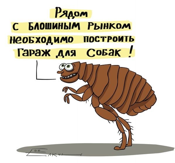 Блоха прикольная