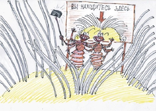 Вши карикатура