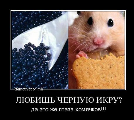 Икра прикол