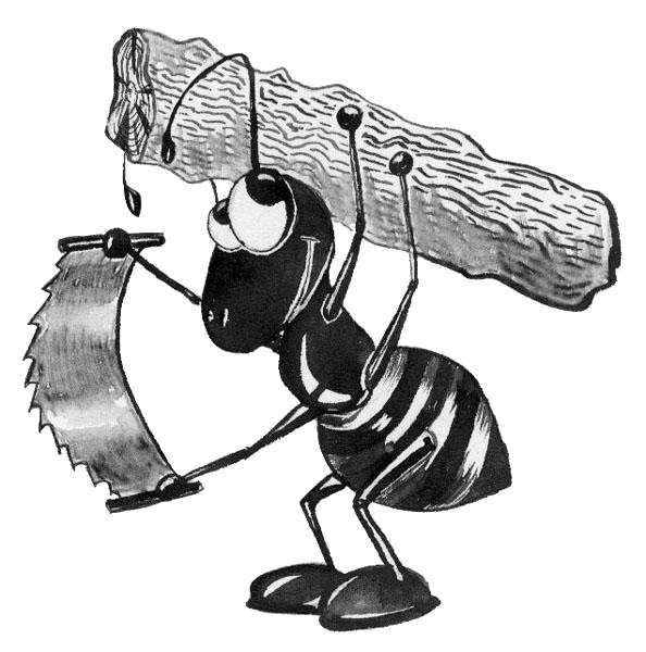 Муравей труженик