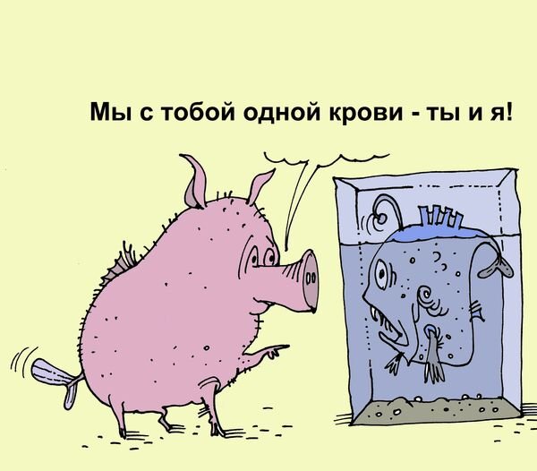 Карикатура со свиным рылом в Калашный ряд