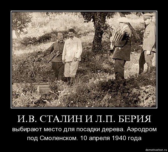 Сталин сажает берёзу под Смоленском