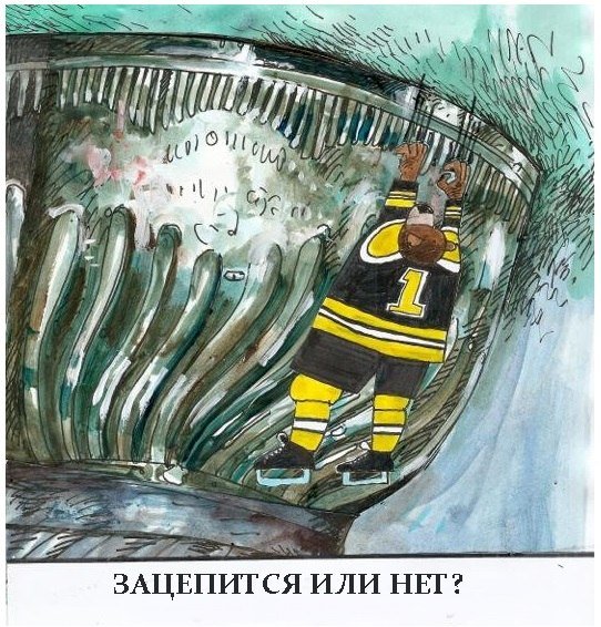 Шарж хоккеист Пингвинс