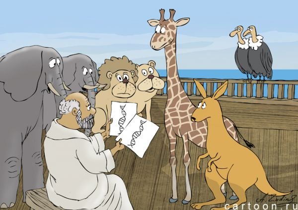 Ной Ковчег карикатура