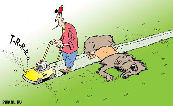 Газонокосилка карикатура