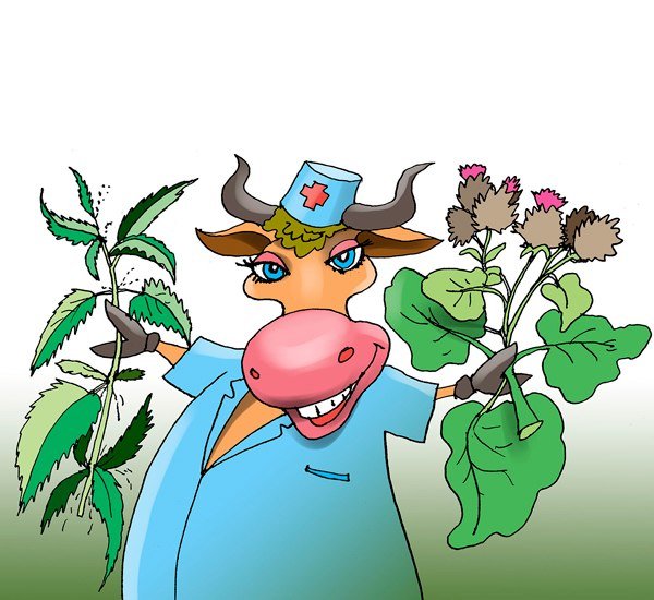 Растения карикатура