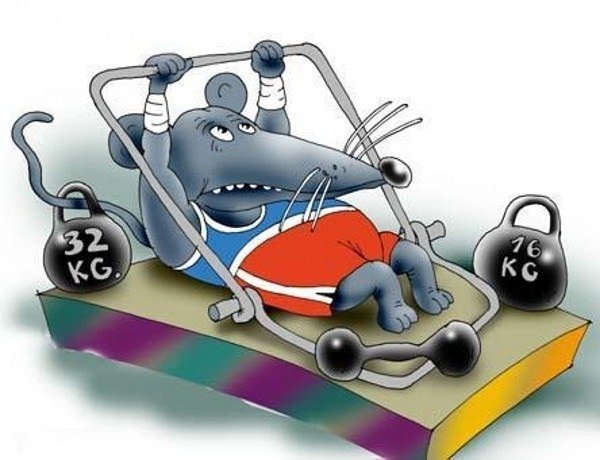 Мышь отжимается в мышеловке