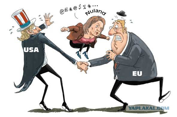 Виктория Нуланд карикатура