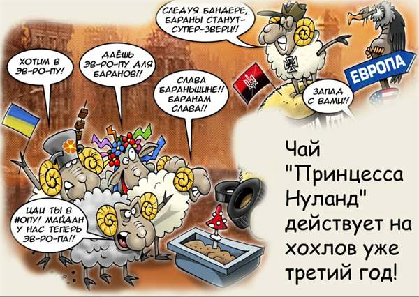 Под Нуланд карикатуры с матом