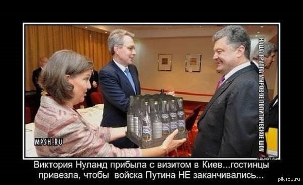 Нуланд печеньки демотиваторы