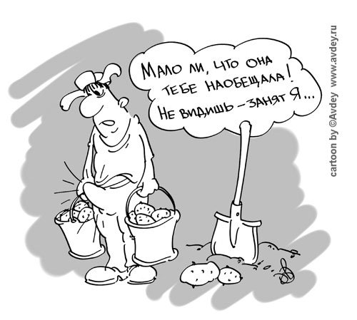 Посадка картошки карикатура