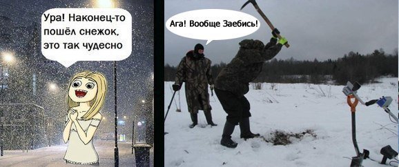 Карикатуры про копателей